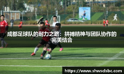 成都足球队的耐力之路：拼搏精神与团队协作的完美结合