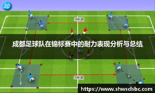 成都足球队在锦标赛中的耐力表现分析与总结